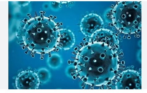Delhi reports first case of Covid-19 sub-variant JN.1: Minister Bharadwaj