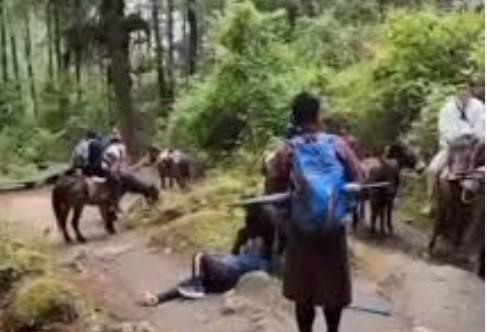 Two unauthorised pony operators booked on Vaishno Devi Track in JK’s Reasi