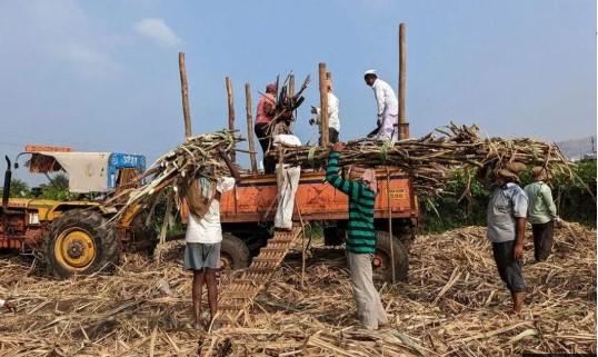 No ethanol link to sugar price spike; millers jacking up rates, says govt