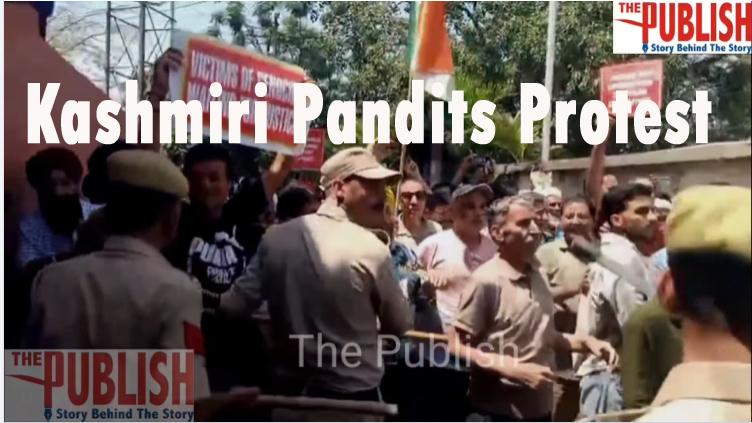 Kashmiri Pandits Protest in Jammu Over NFSA Ration Integration