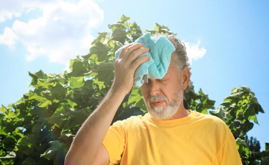 Heatwave impacts brain, eye health; doctors advise caution amid soaring temperatures